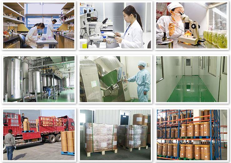 Mct Powder Manufacturer & Supplier & Price & Wholesale & USA Warehouse