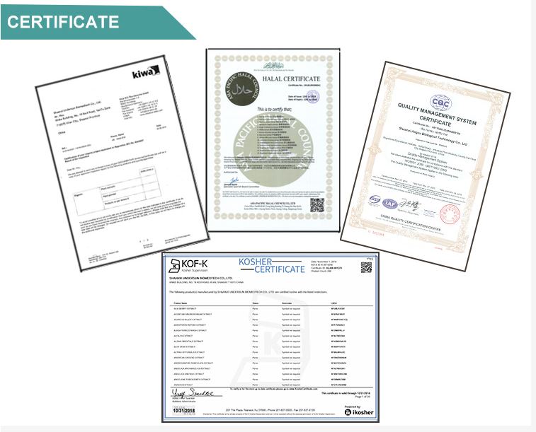 MCT Powder Manufacturer - Organic Certificate