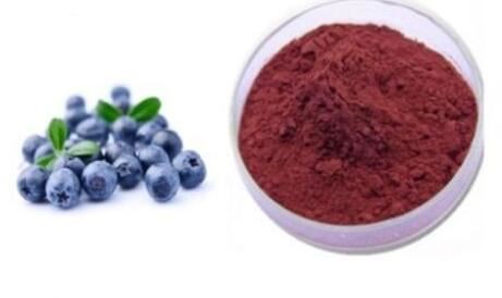 Organic Blueberry Powder-1