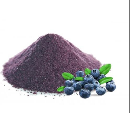 Blueberry Powder-1