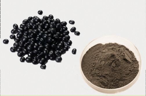 black bean powder-1