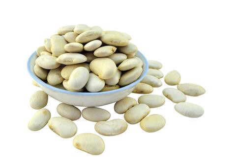 Kidney Bean Extract-1