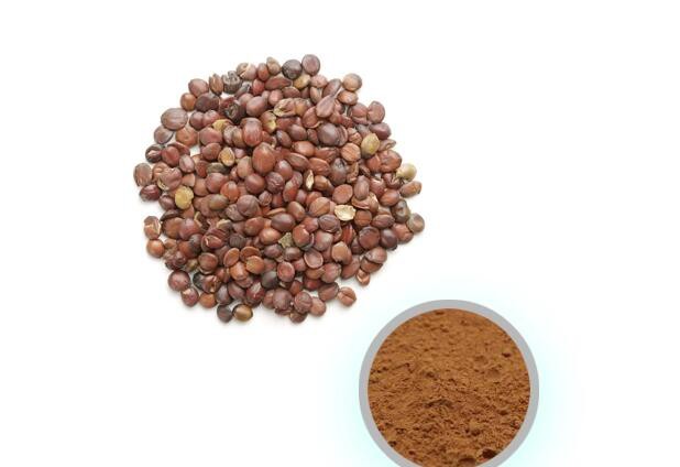 Jujube Seed Extract-1