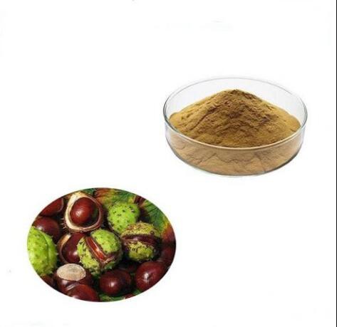 Horse chestnut extract-1