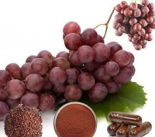 Grape Seed Extract Powder-1