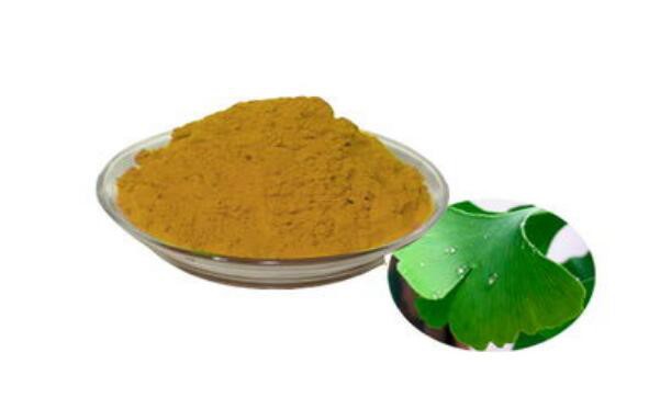 Ginkgo Leaf Extract