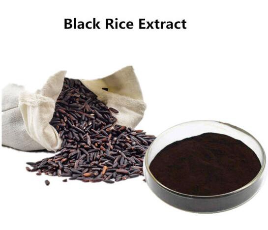 Black Rice Extract-1