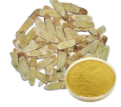 Astragalus Extract-1