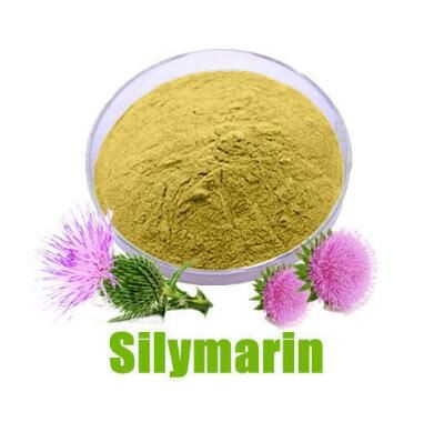 Silymarin Extract Powder-1