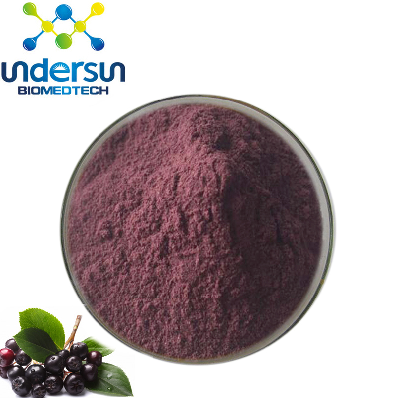 High quality Anthocyanidins 25% Elderberry Extract