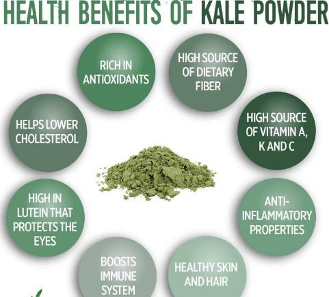 Kale Powder Benefits