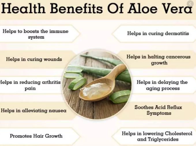 Aloe Vera Powder Benefits