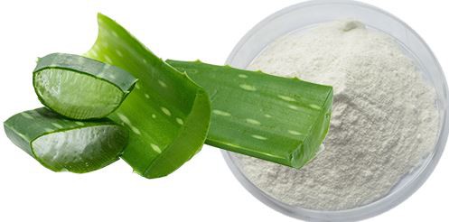 Aloe Vera Leaf Powder-1