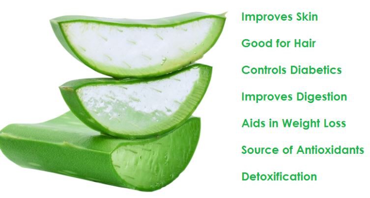 Aloe Vera Leaf Powder Benefits