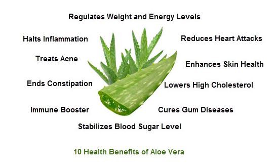 Organic Aloe Vera Powder Benefits