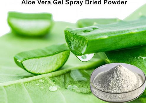Aloe Vera Inner Leaf Powder-1