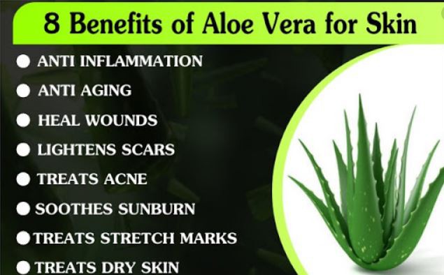 Aloe Vera Inner Leaf Powder Benefits