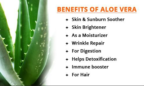 Aloe Vera Powder Bulk Benefits
