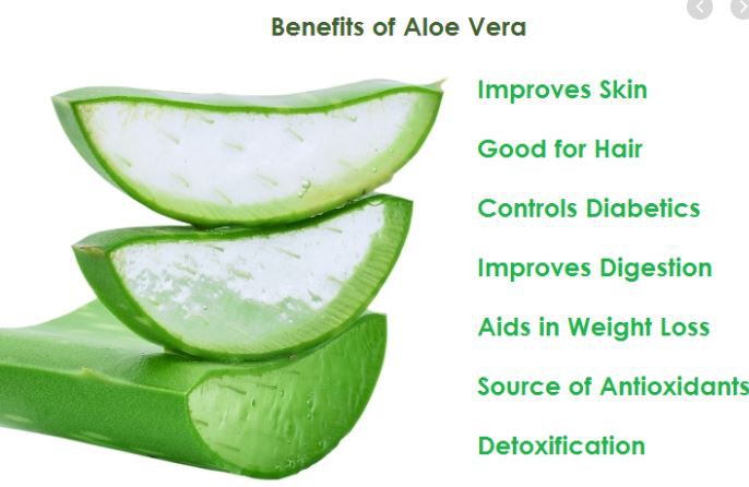 Aloe Vera Spray Dried Powder Benefits