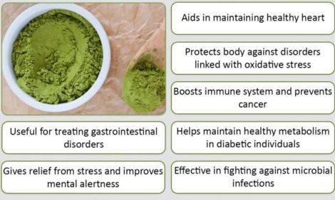 Organic Matcha Green Tea Powder Benefits