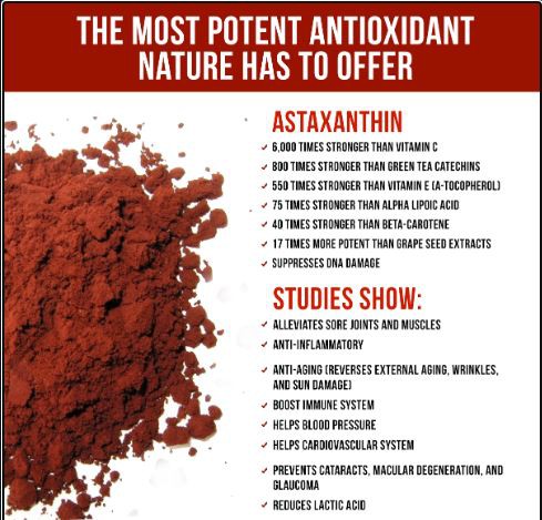 Astaxanthin Powder Bulk Benefits