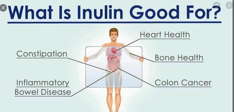 inulin powder bulk benefits