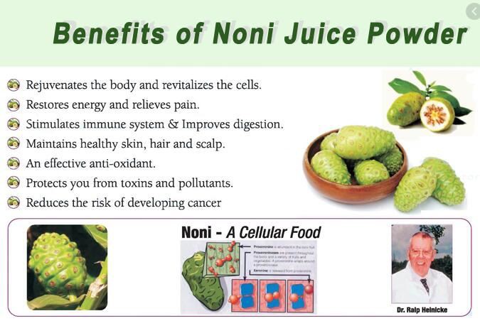 Organic Noni Powder benefits