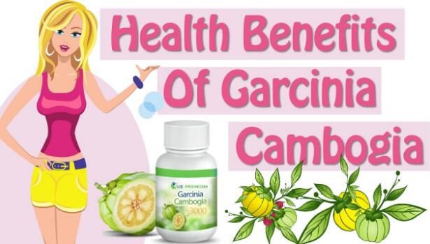 Garcinia Cambogia Powder benefits