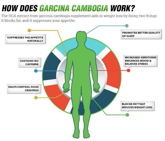 Garcinia Cambogia extract powder Benefits