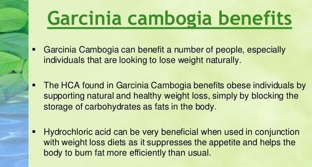 organic garcinia cambogia extract powder benefits