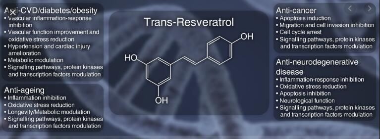 trans resveratrol benefits