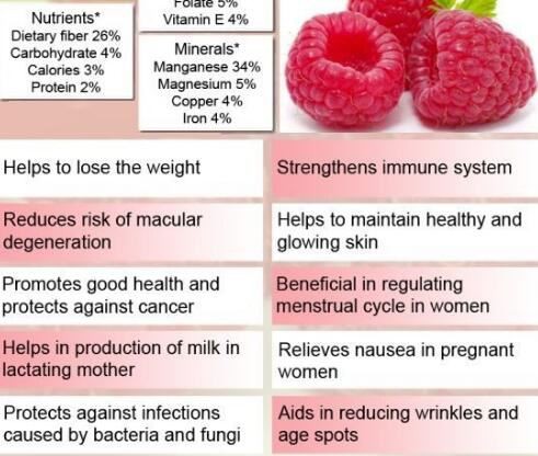 organic Raspberry powder benefits