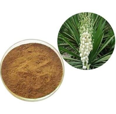 yucca extract powder