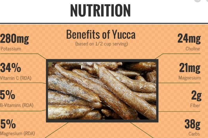 yucca root benefits