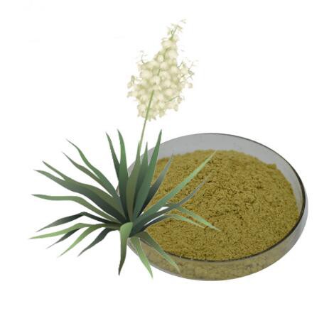 yucca schidigera extract powder