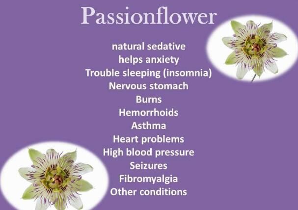 Passion Flower extract benefits
