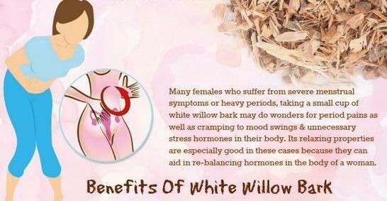 White Willow Bark benefits