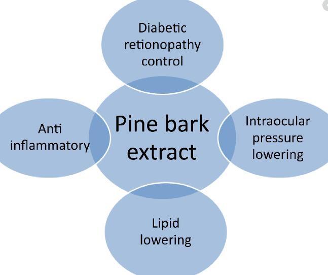 Pine Bark Powder Uses