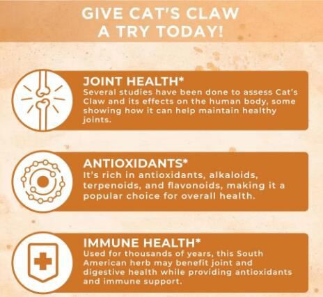 cat's claw extract benefits