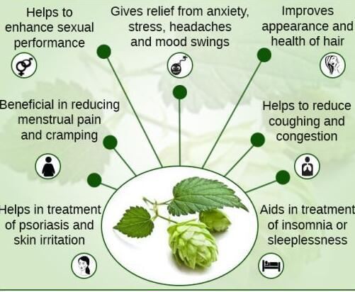 hops benefits