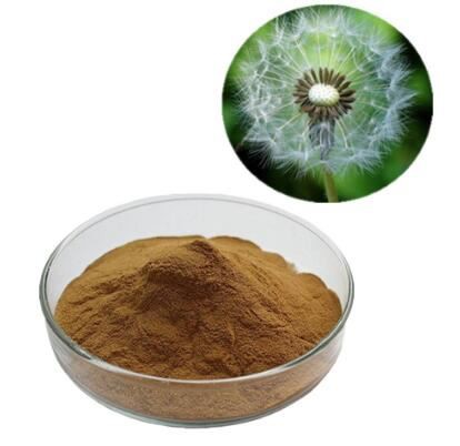 organic dandelion leaf powder