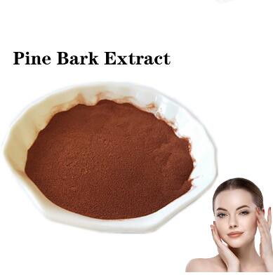 pure pine bark extract powder