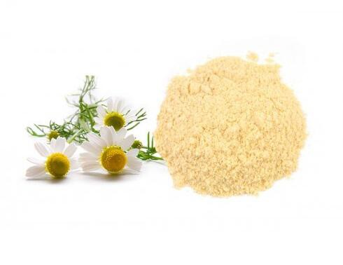 chamomile extract powder