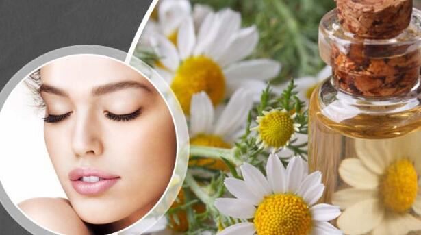 Chamomile Flower Extract in cosmetics Uses