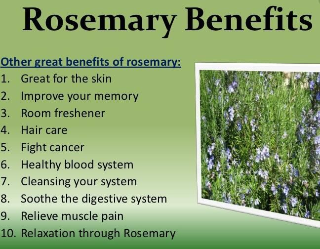 rosemary extract benefits