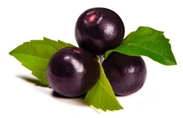 Acai Berry Fruit benefits