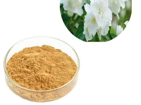 Jasmine flower extract powder