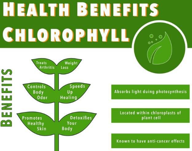 organic chlorophyll benefits