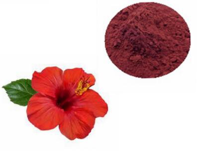 hibiscus sabdariffa flower extract