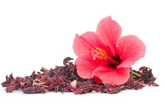 hibiscus flower benefits